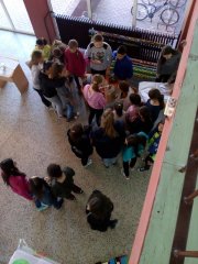 IMG_20171003_102641.jpg